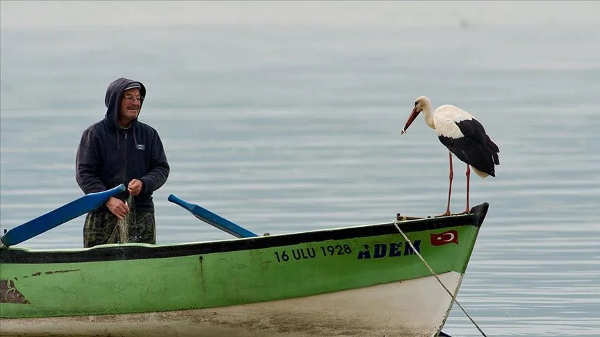 thumbs_b_c_0f8d186c5c44fa3ed46ccdfd646d2f60