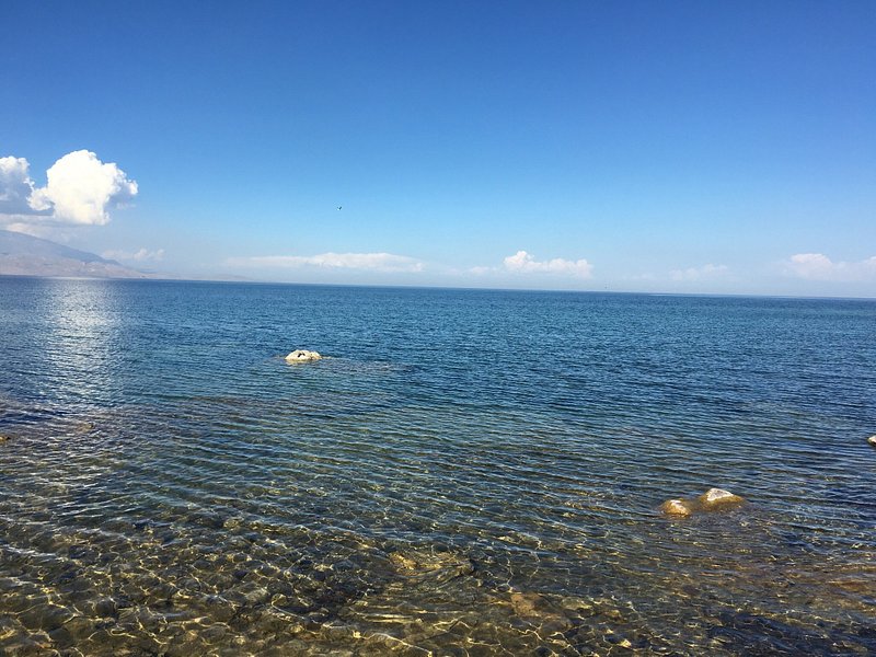 van-golu-tek-kelimeyle