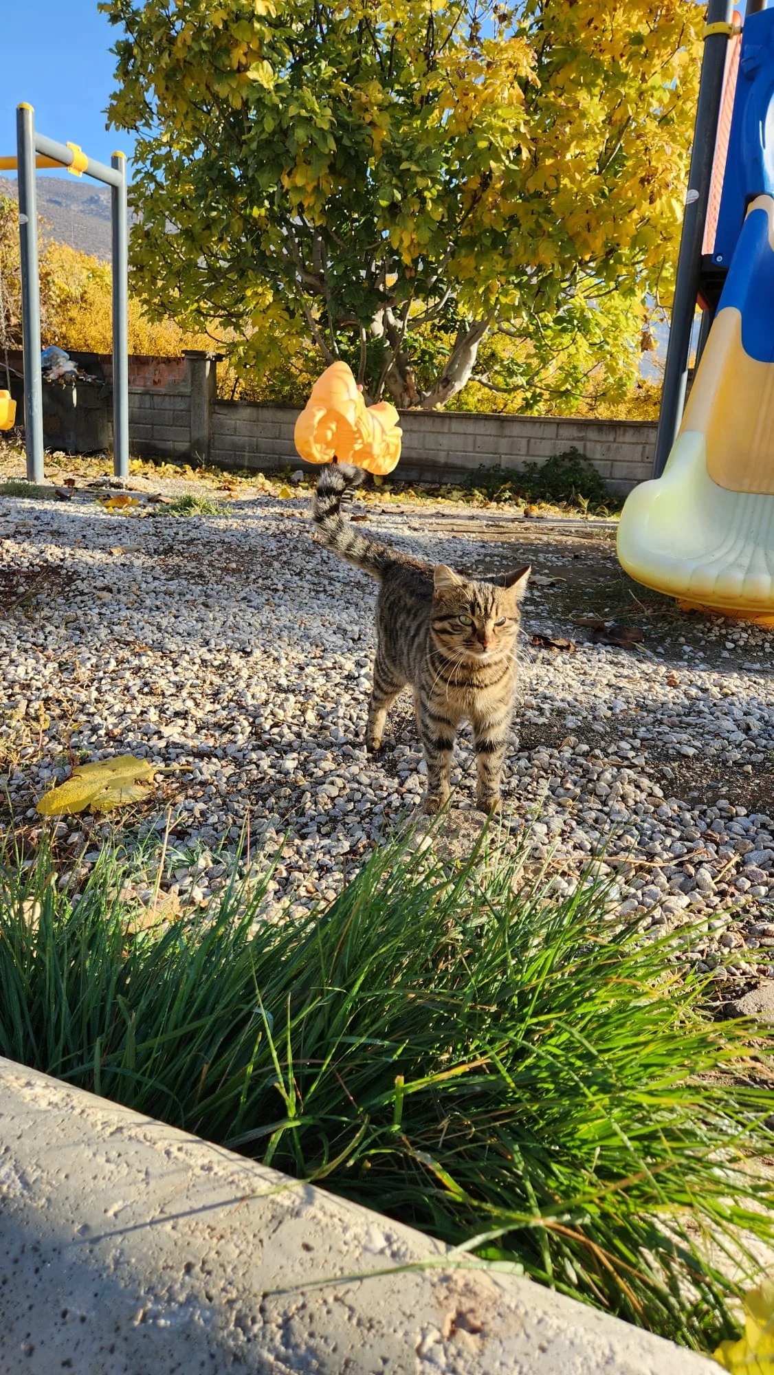 WhatsApp Görsel 2025-12-01 saat 19.25.09_04841365.webp