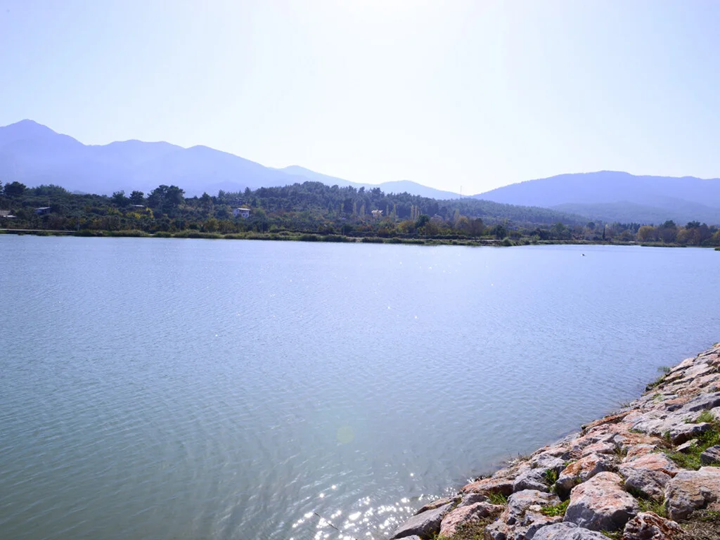 whatsapp-image-2019-11-18-at-09_6695-2323