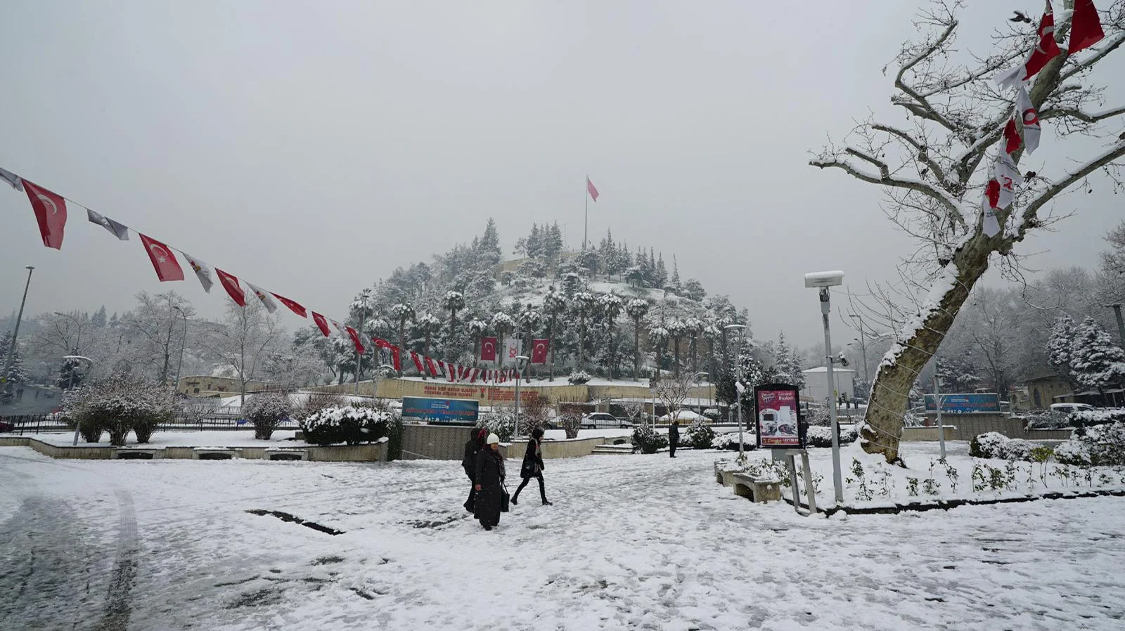 whatsapp-image-2021-05-28-at-18-47-57-1