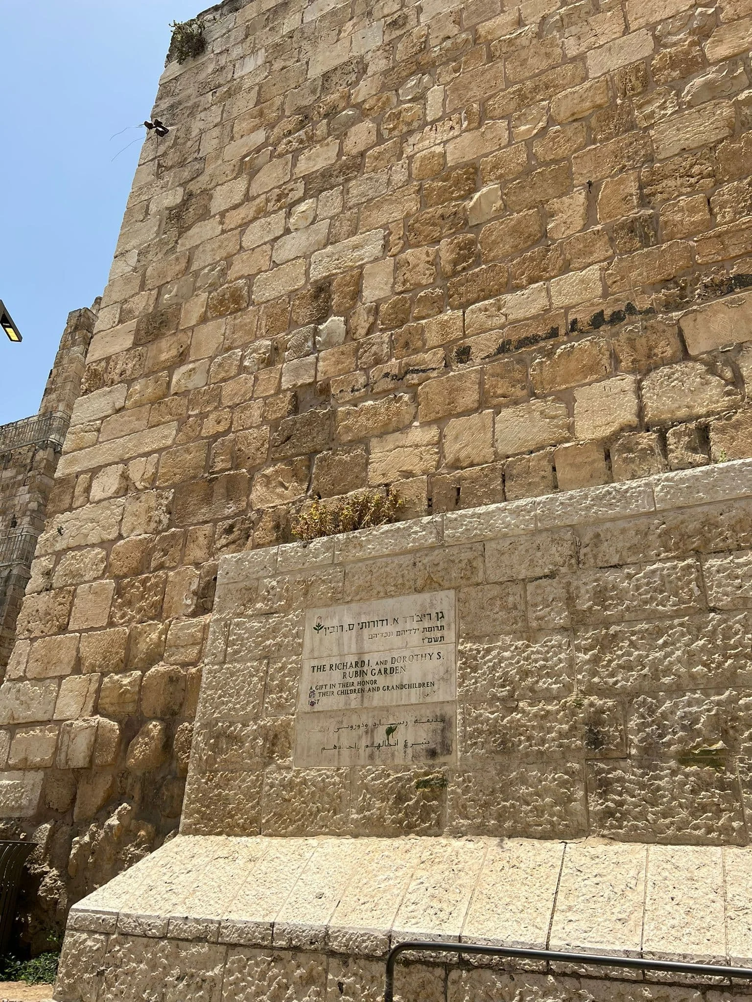 WhatsApp Image 2022-06-15 at 21.10.58 İngiliz kralı Richard bahçesi