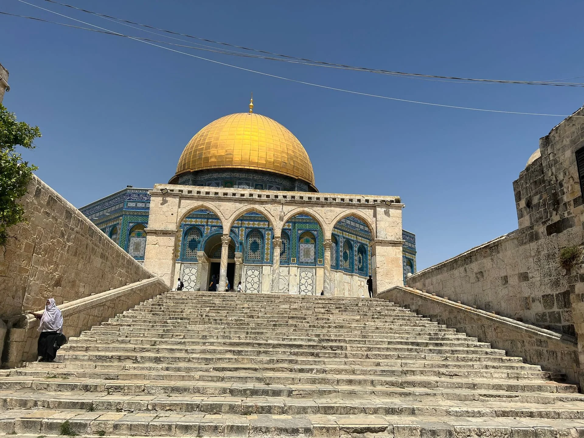 WhatsApp Image 2022-06-15 at 21.11.54