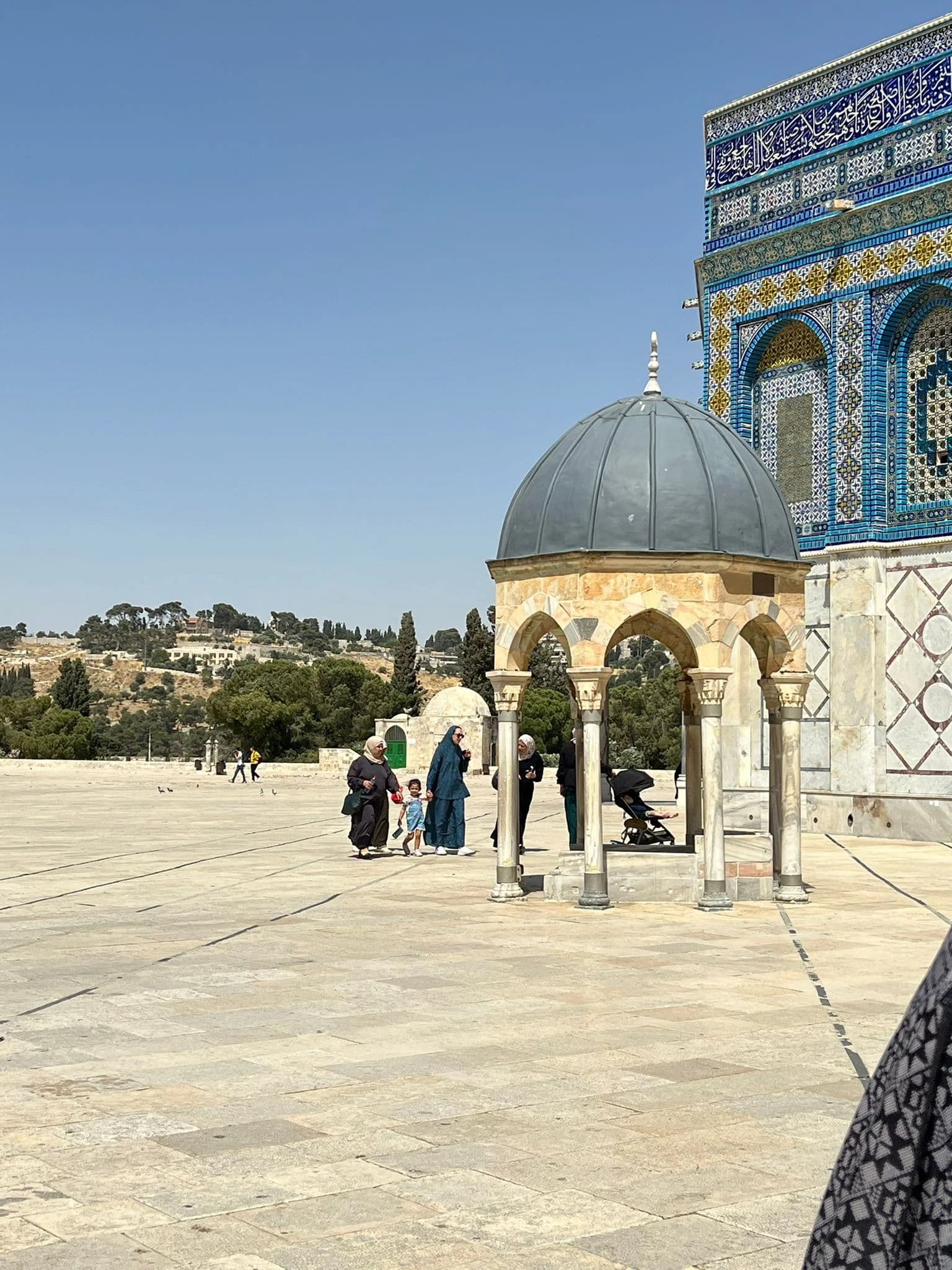 WhatsApp Image 2022-06-15 at 21.12.08 (1)