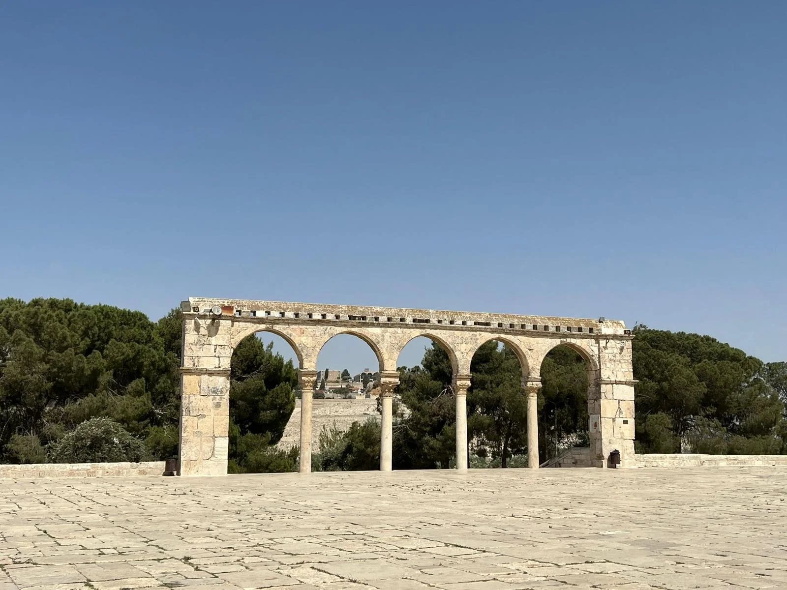 WhatsApp Image 2022-06-15 at 21.13.11 (1)