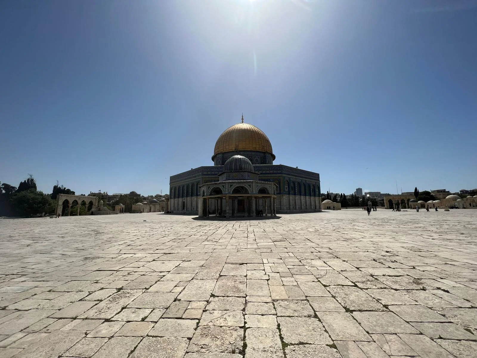 WhatsApp Image 2022-06-15 at 21.13.12 (1)