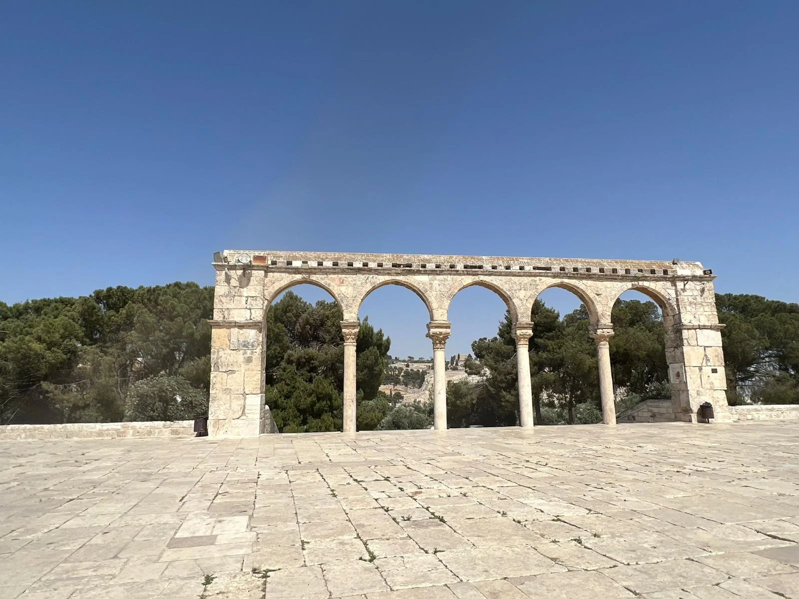 WhatsApp Image 2022-06-15 at 21.13.12