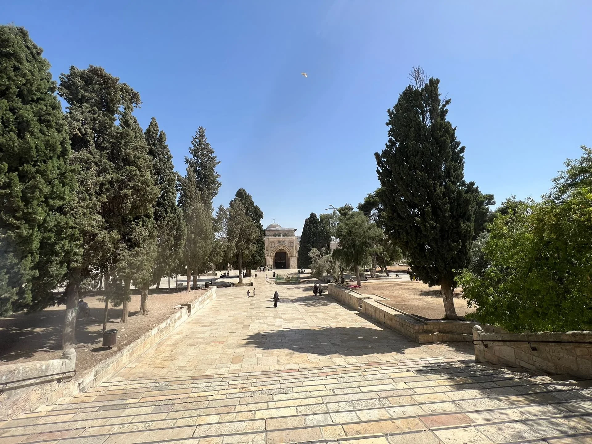 WhatsApp Image 2022-06-15 at 21.13.13 (2)