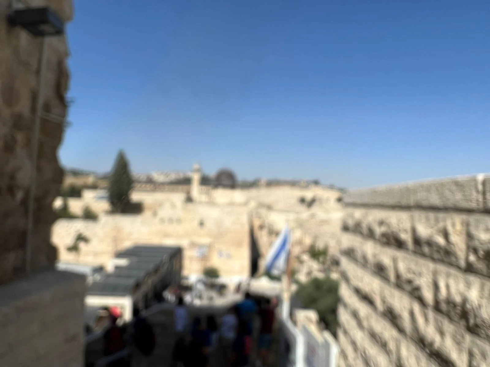 WhatsApp Image 2022-06-15 at 21.16.33 (1)