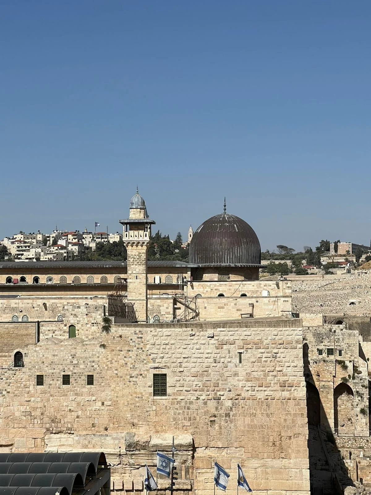 WhatsApp Image 2022-06-15 at 21.16.33 (2)