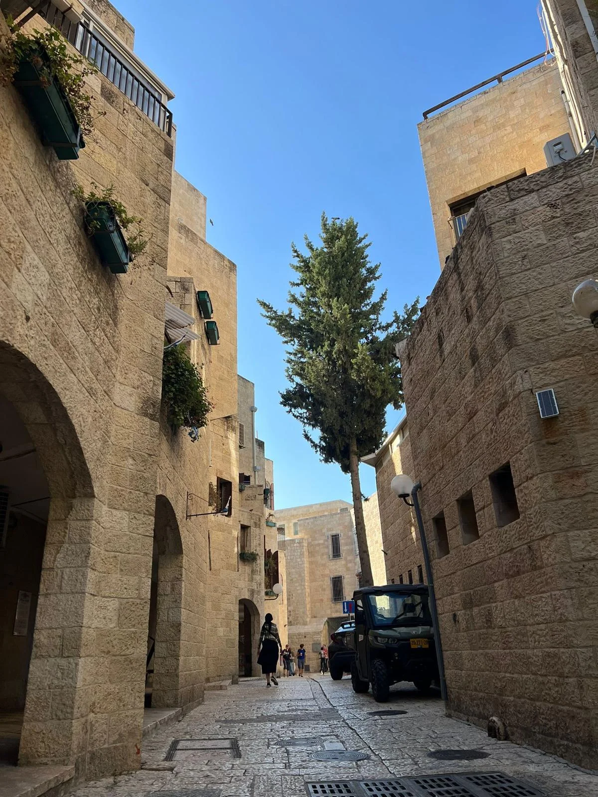 WhatsApp Image 2022-06-15 at 21.16.34