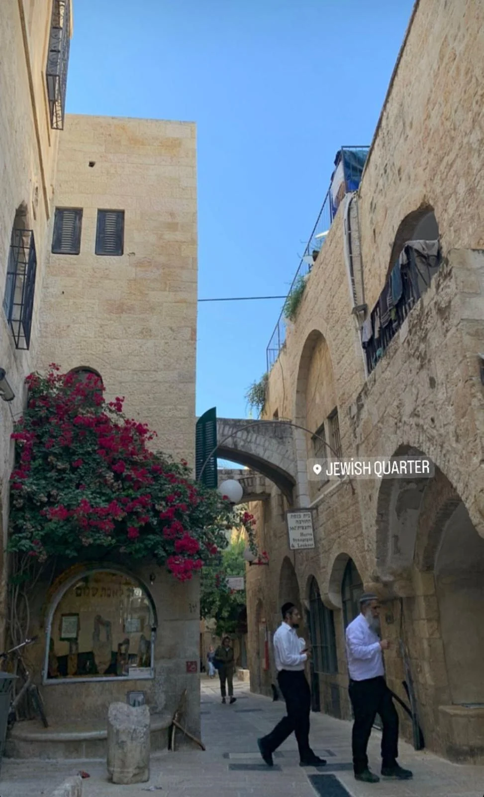 WhatsApp Image 2022-06-15 at 21.16.40