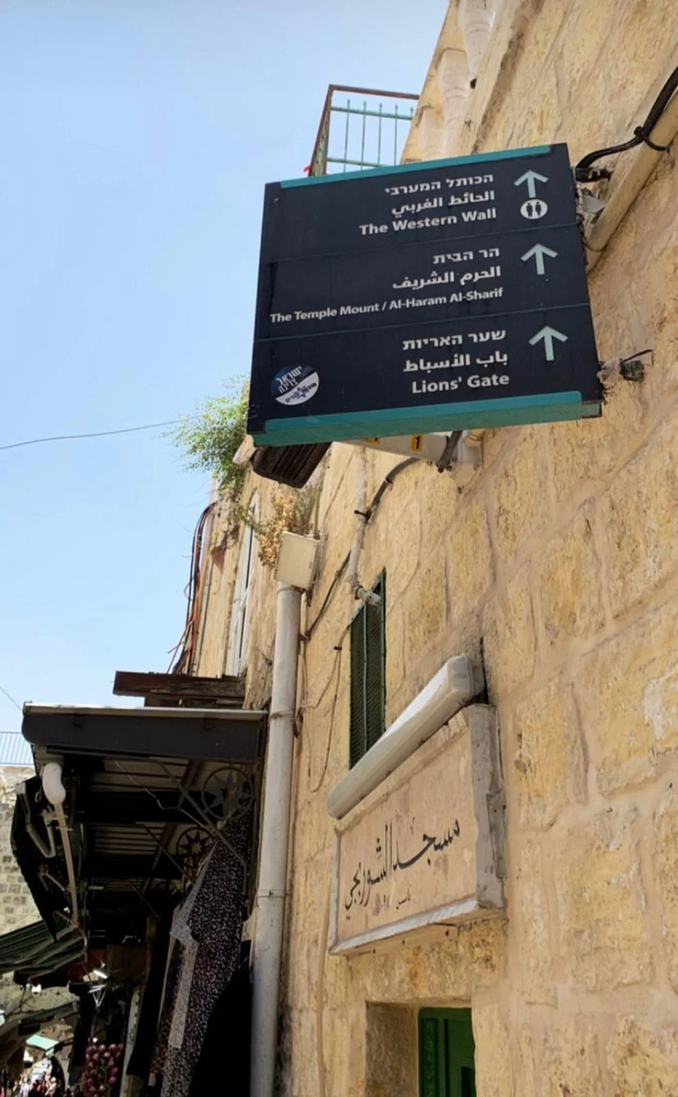 WhatsApp Image 2022-06-15 at 21.16.41 (1)