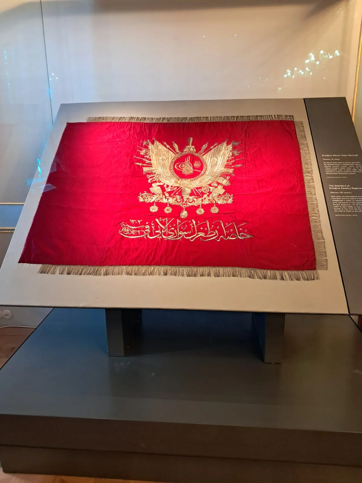 WhatsApp Image 2024-08-18 at 15.14.35 (2)