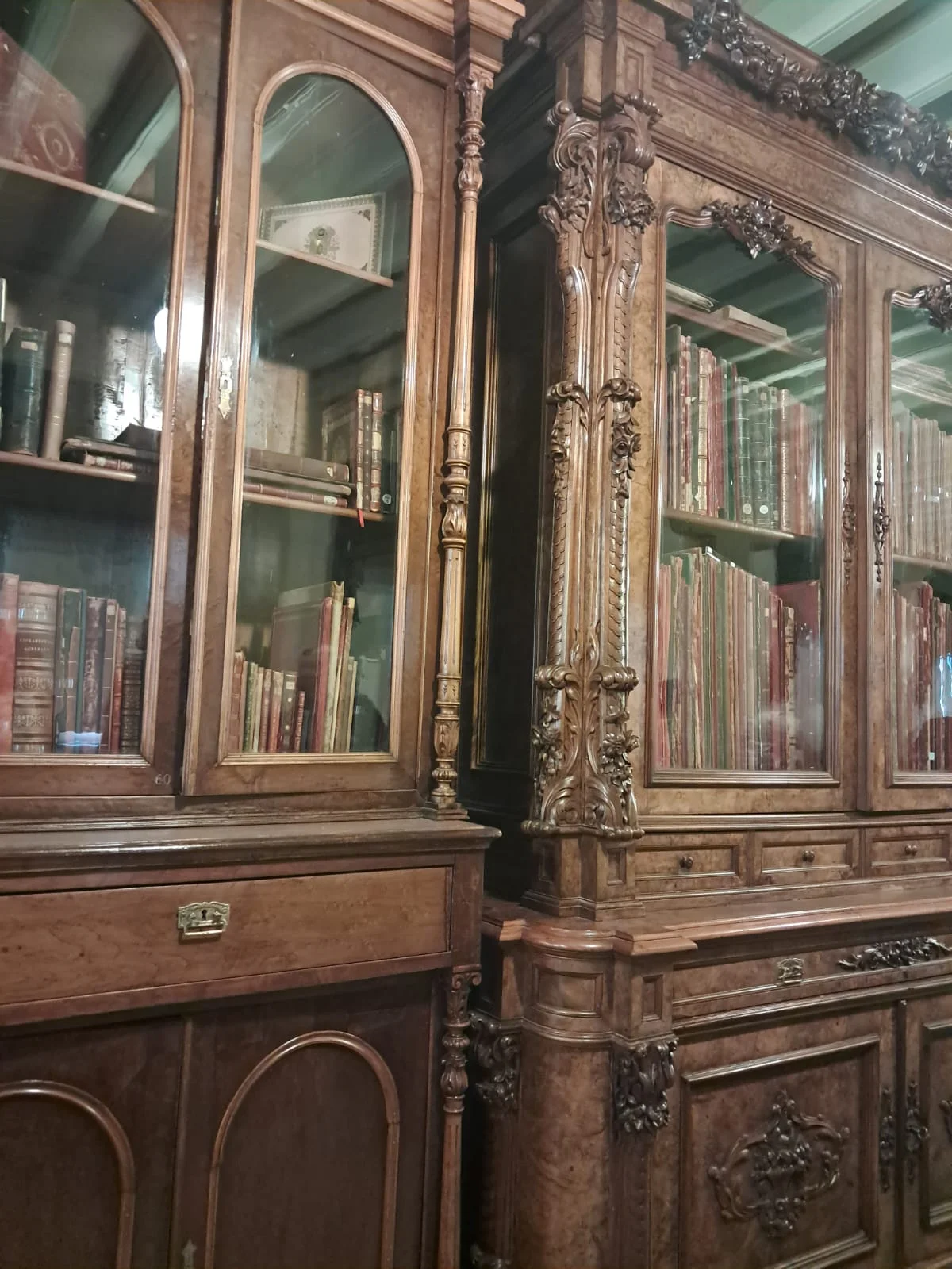 WhatsApp Image 2024-08-18 at 15.14.46 (2)