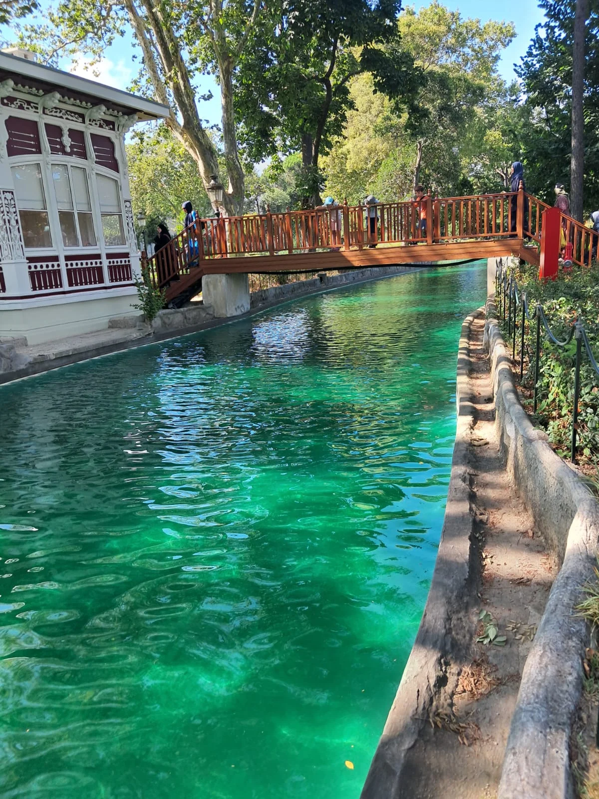 WhatsApp Image 2024-08-18 at 15.14.48 (1)