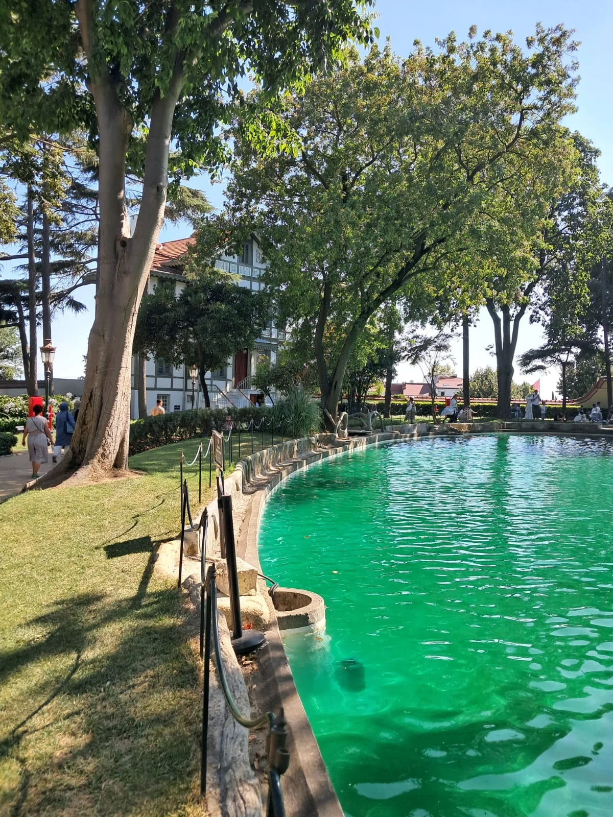 WhatsApp Image 2024-08-18 at 15.14.48