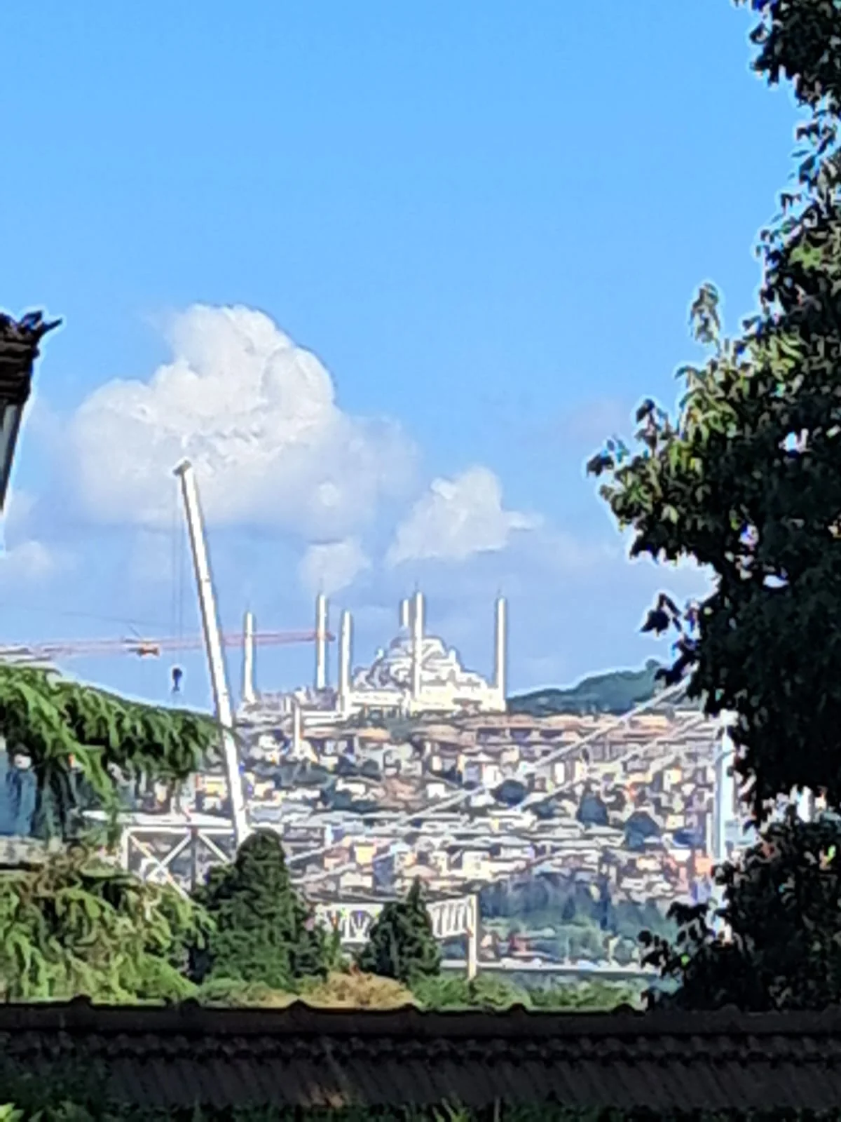 WhatsApp Image 2024-08-18 at 15.14.49 (1)