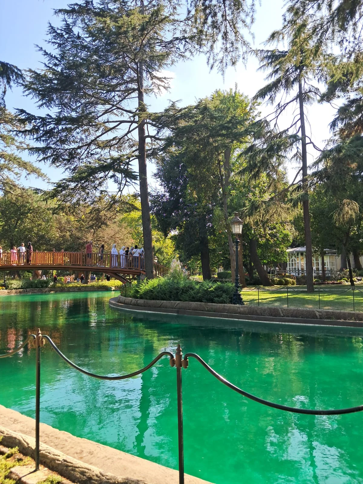 WhatsApp Image 2024-08-18 at 15.14.49