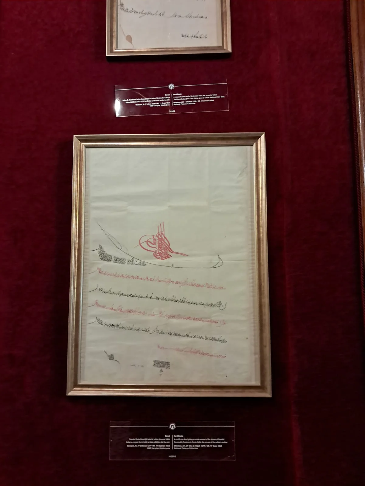 WhatsApp Image 2024-08-18 at 15.14.59