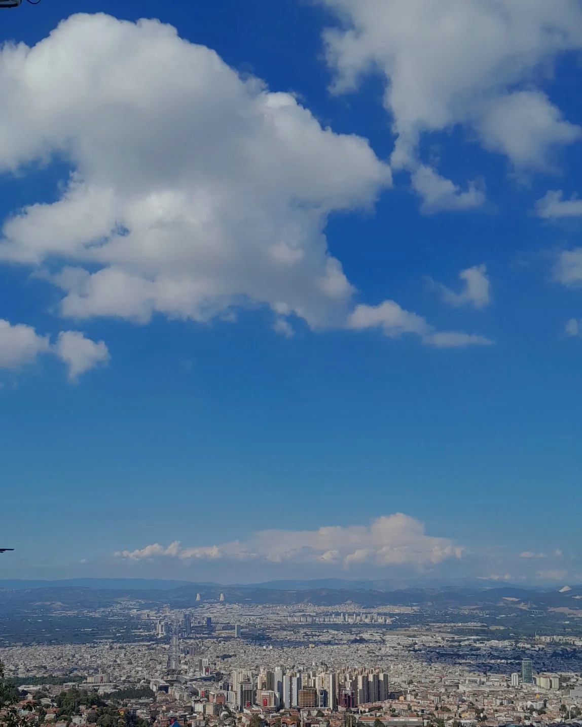 WhatsApp Image 2024-08-30 at 19.48.37