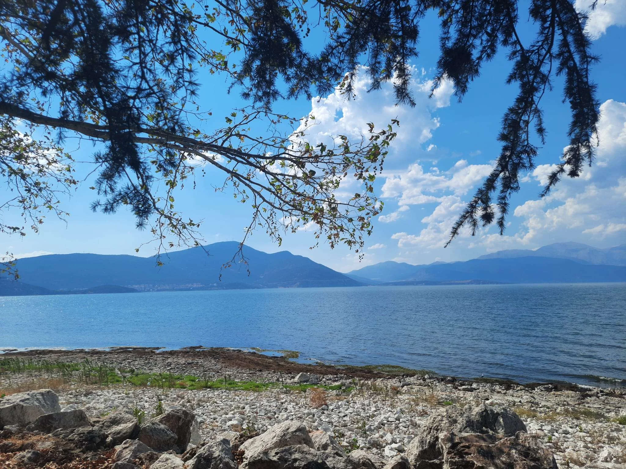 WhatsApp Image 2025-04-14 at 12.49.57 (1).webp