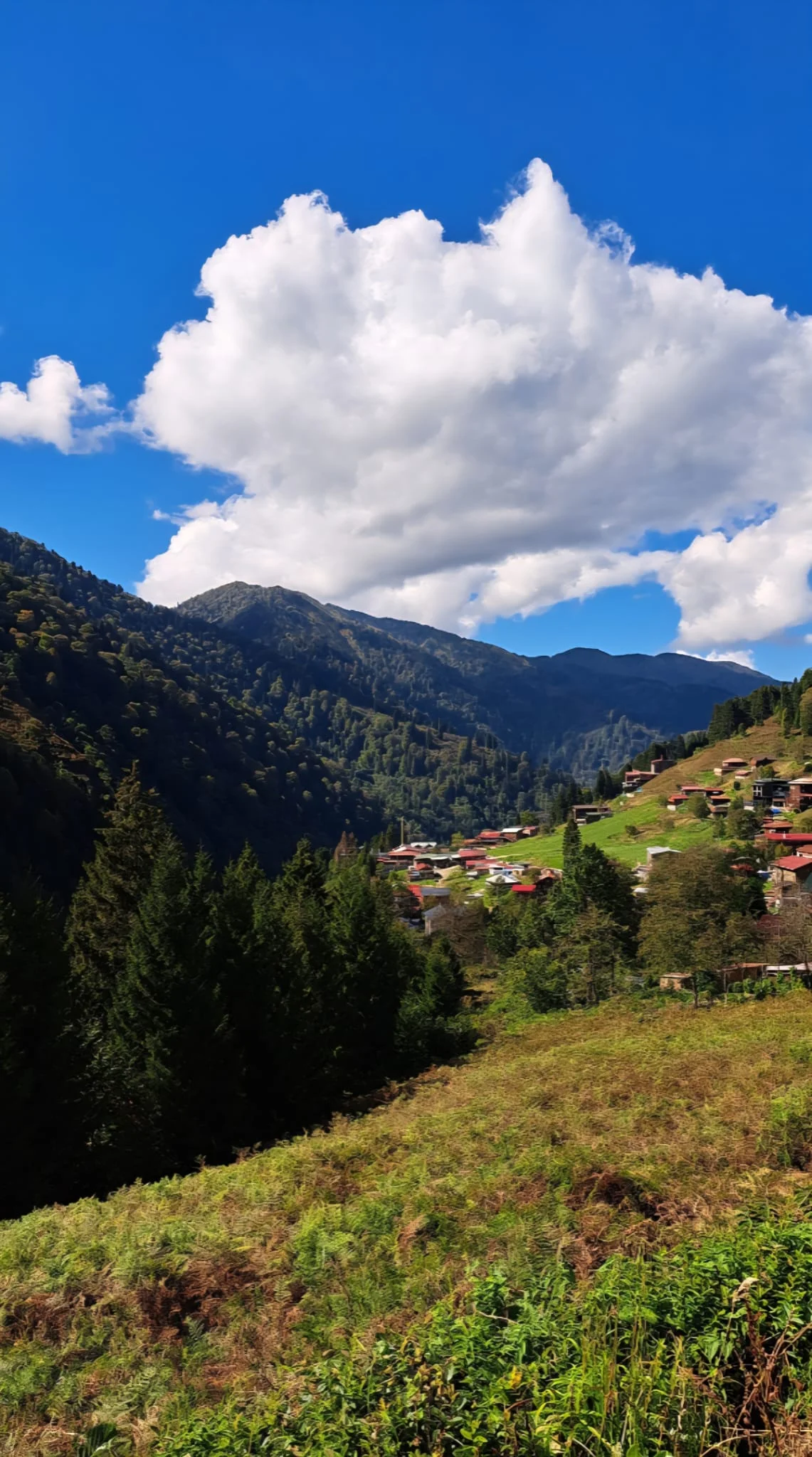 WhatsApp Image 2025-09-09 at 15.55.49.webp