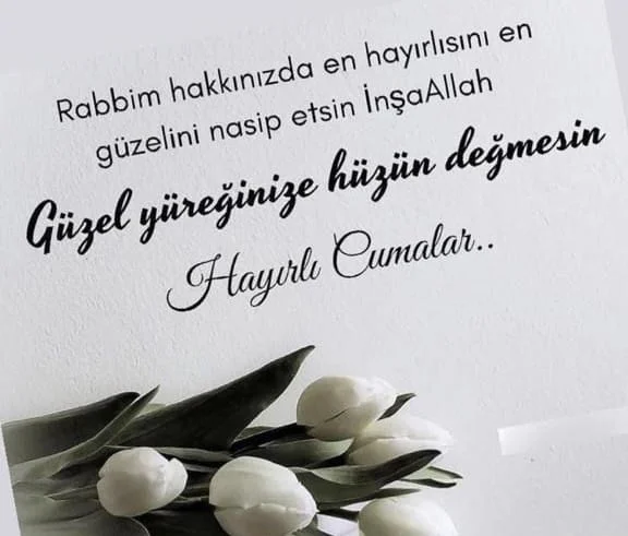 WhatsApp Image 2026-02-06 at 07.35.58.jpeg