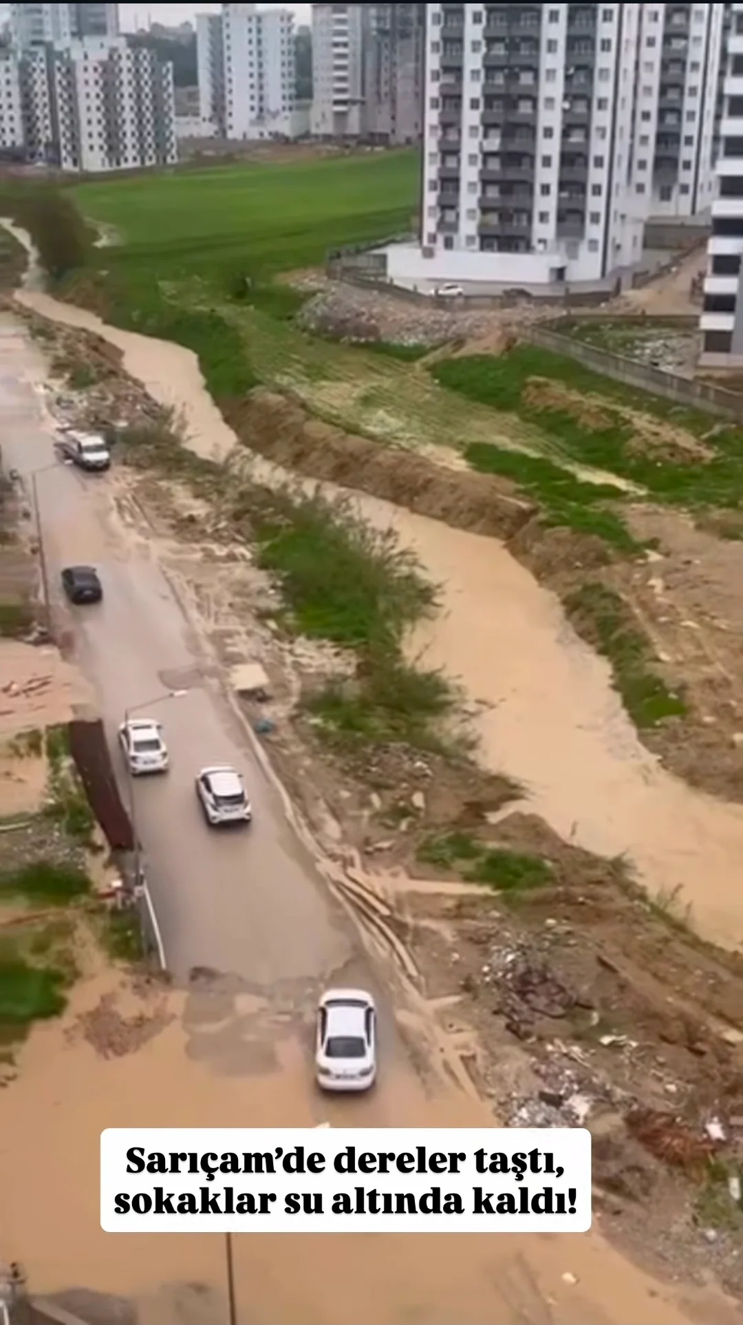 WhatsApp Image 2026-03-30 at 00.33.11.webp