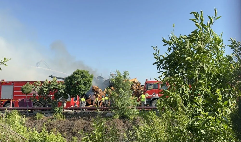 x9-0tFSPhkOMCnmKfDHpDg